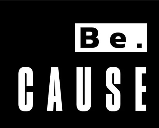 BeCause